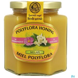 Melapi Polyflora+gelee Royale 500g 5534 Revogan
