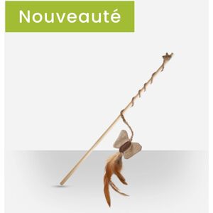 Ultra Premium Direct Jouet Canne à pêche papillon pour chat