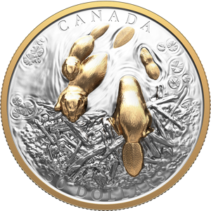 Royal Canadian Mint Canadian Symbol: The Beaver  Fine Silver Coin