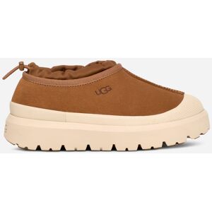 UGG® Men's Tasman Weather Hybrid Suede Shoes in Chestnut/Whitecap, Size M7 / W8 - Chestnut/Whitecap - Size: M7 / W8