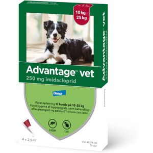 Advantage Vet. til hund 100 mg/ml 10 ml Kutanopløsning