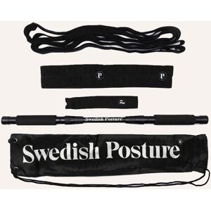 Swedish Posture Mini Gym