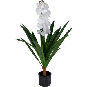 Home-tex Kunstig Orkidé - 80 cm - Ét grenet hvide blomster - Kunstig blomst i sort potte