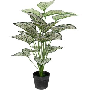 Home-tex Kunstigt plante 80 cm - Flot Calathea  med hvide og grønne blade