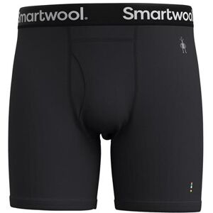 Smartwool Mens Merino Boxer Brief, Black XL