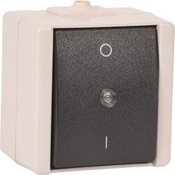 Kopp Wipcontroleschakelaar 2-polig opbouw spatwaterdicht Mat antraciet/wit IP44