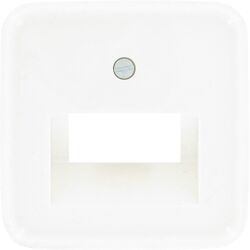 Busch-Jaeger Reflex SI centraalplaat USB Glanzend wit