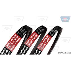 V-snaar Optibelt TruckPOWER CP OPTIBELT CP10533