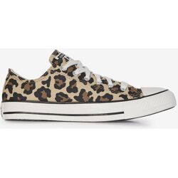 Schoenen Converse Chuck Taylor All Star Ox Leopard Beige/bruin Dames 36