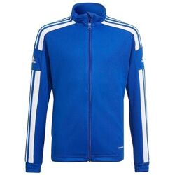 adidas Sweater Squadra 21 Training Blauw