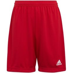 adidas 7/8 en 3/4 broeken Entrada 22 Rood