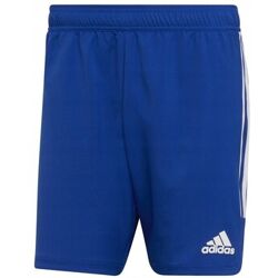 adidas 7/8 en 3/4 broeken Condivo 22 Match Day Shorts Blauw