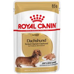 Royal Canin Breed Royal Canin Teckel Adult - Hondenvoer Bestel ook natvoer: 12 x 85 g Royal Canin Teckel Adult