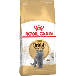 10kg British Shorthair Adult Royal Canin Breed Kattenvoer