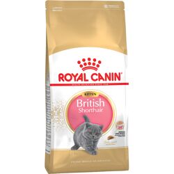 10kg British Shorthair Kitten Royal Canin Breed Kattenvoer