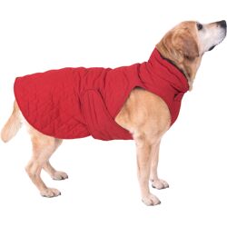 zooplus Exclusive 70 cm Ruglengte Hondenjas Gewatteerd Rood